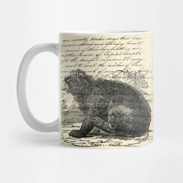 dark academia rustic cabin woodland animal mountain forest grizzly bear by Tina